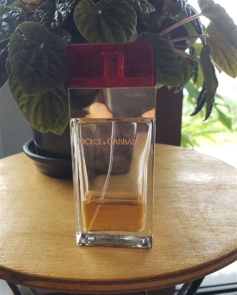 perfume dolce gabbana descontinuado|authentic dolce gabbana perfume.